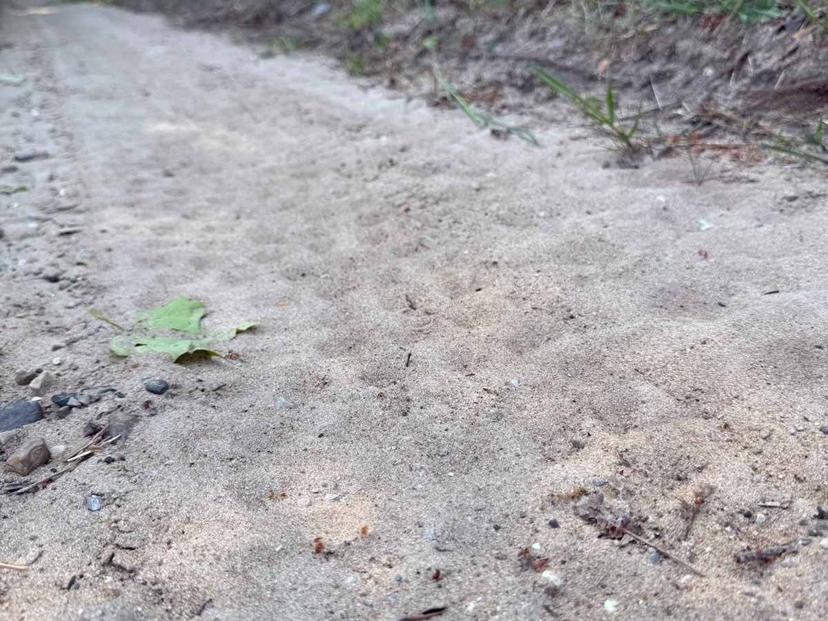 Brush Field Trail photo 3