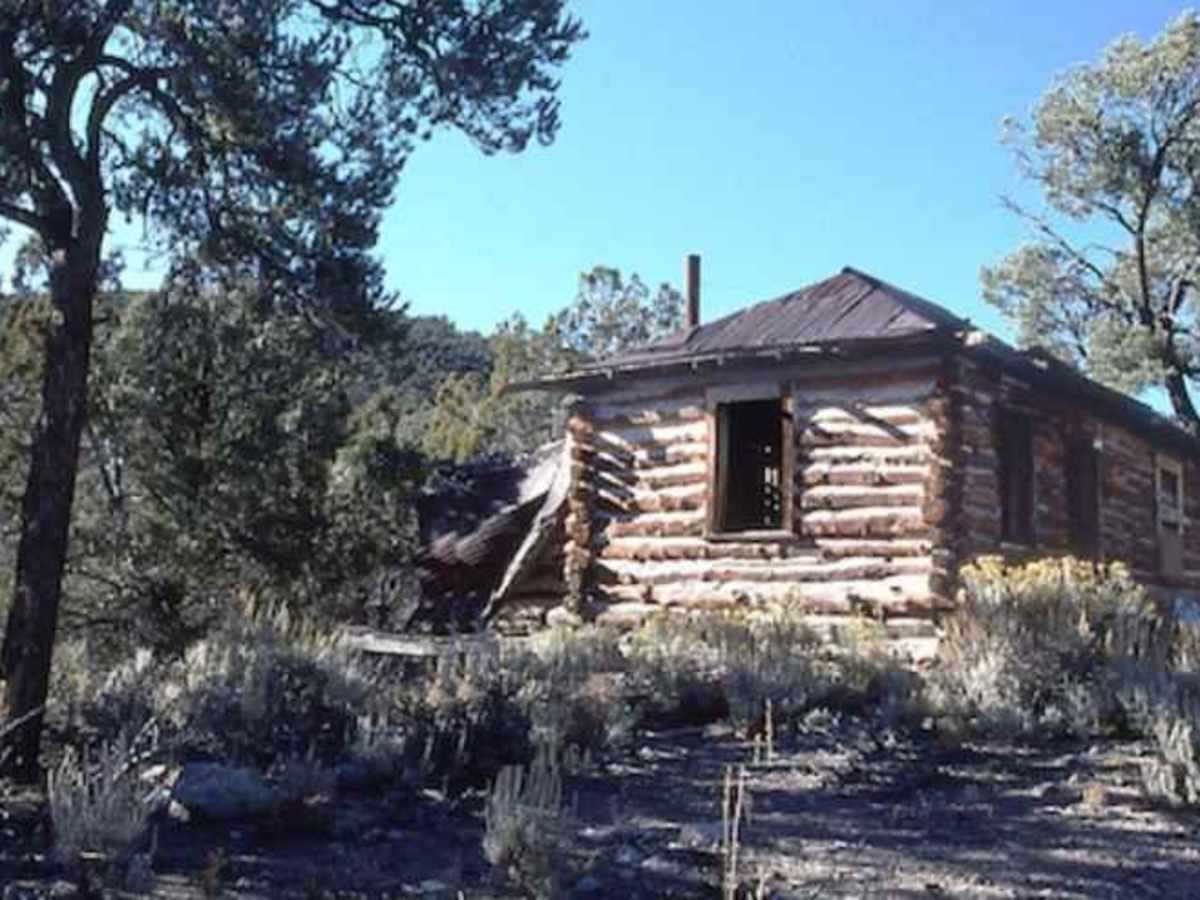 Gold Springs Road photo 5