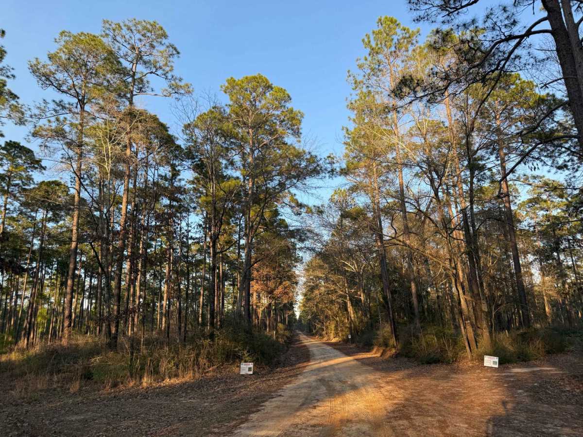 Hogfoot Road - FS 332 trail photo