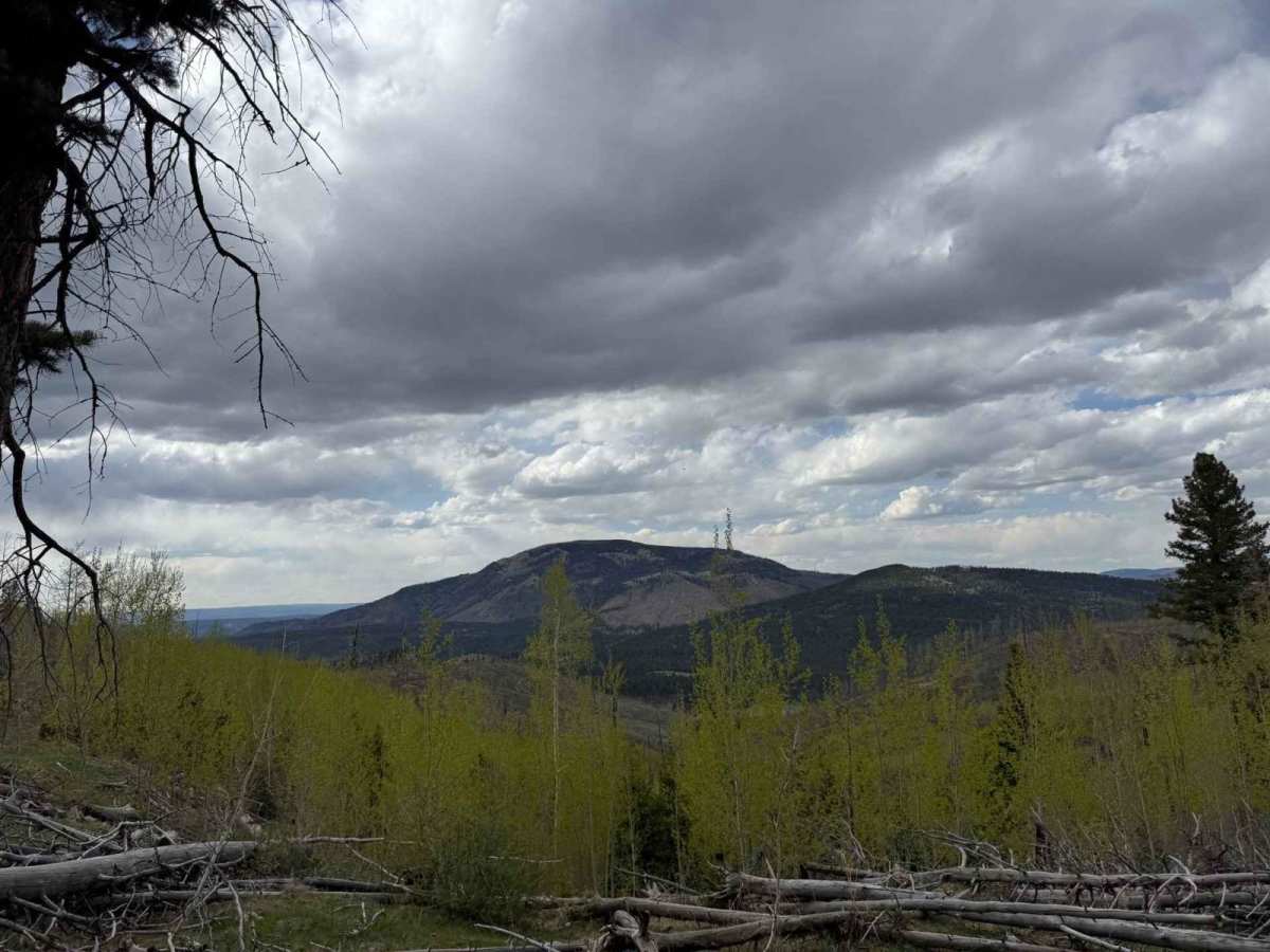 Bear Springs Road Continued trail photo
