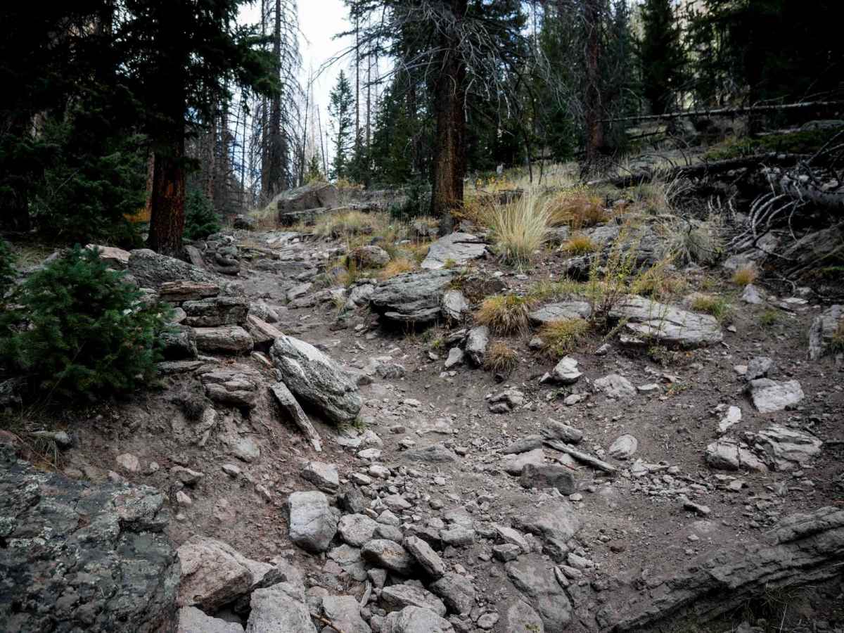 Cathedral trail photo