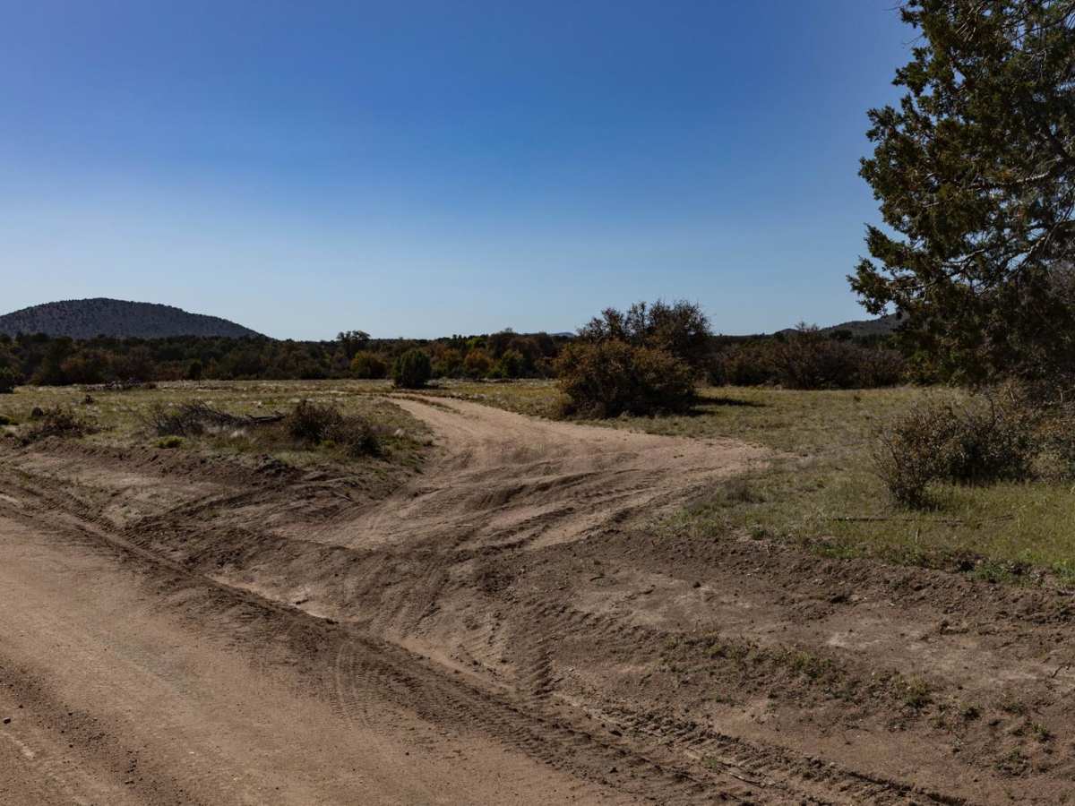 Cornucopia trail photo