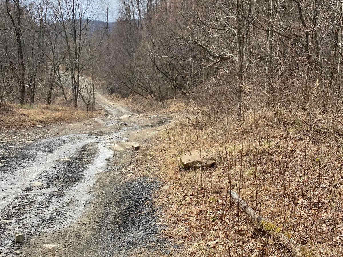 Trail 61 Windrock photo 4