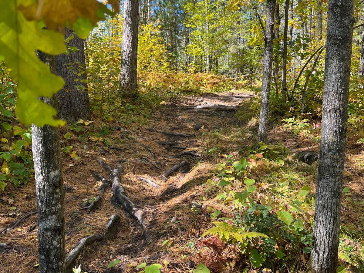 Round River Dr. Dirt Bike Short Cut photo 3