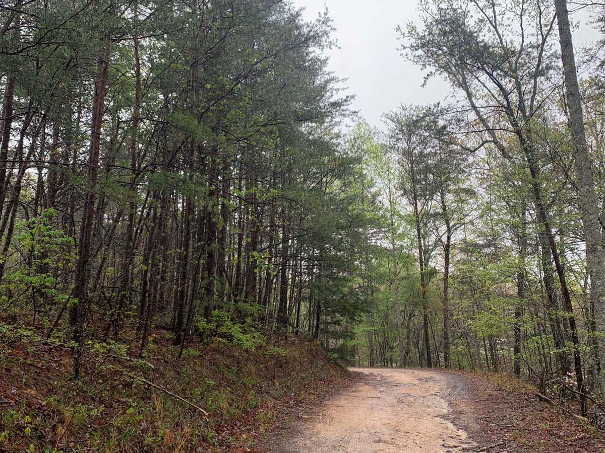 Blue Ridge Trail - Big Frog photo 3