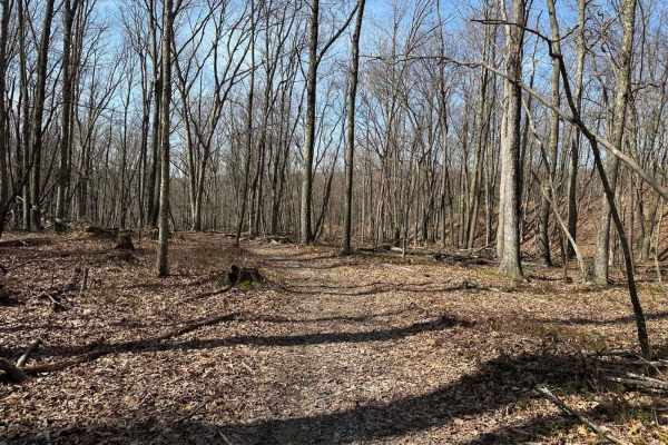 Ashland Single Track 1