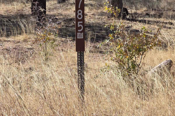 Hog Canyon- BLM 4111