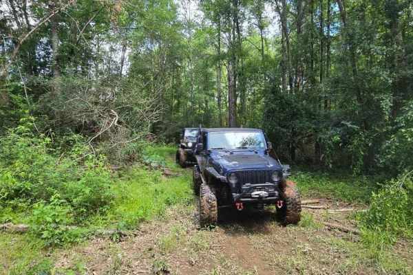 Trail 4