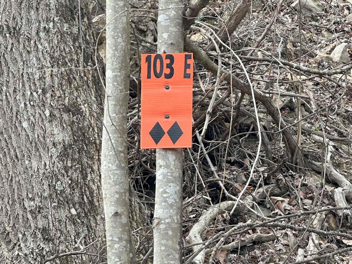103D trail photo