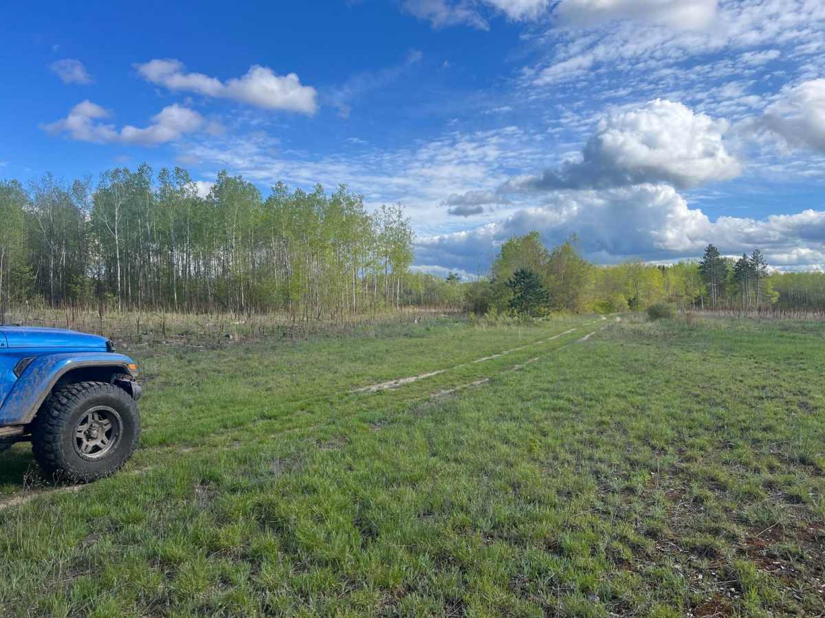 Bewilder Trail trail photo