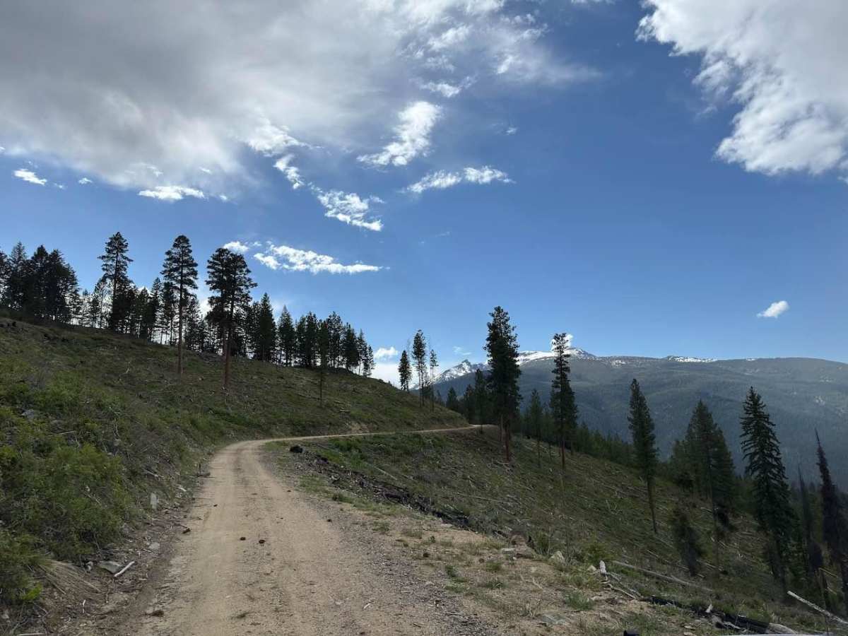 Piquett Ridge photo 5
