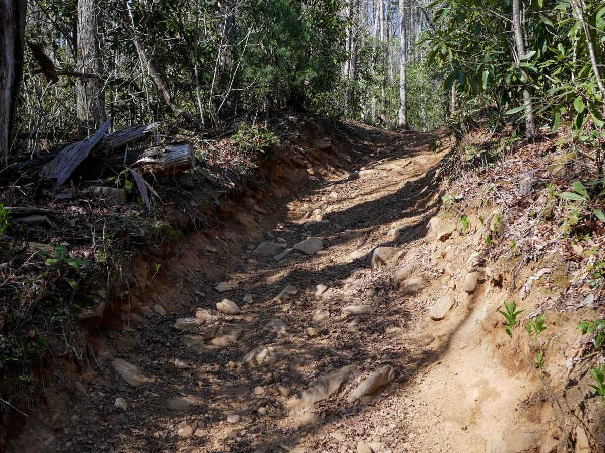 Hemlock Ridge Trail 7 photo 4