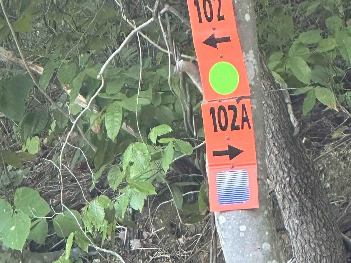 102A trail photo