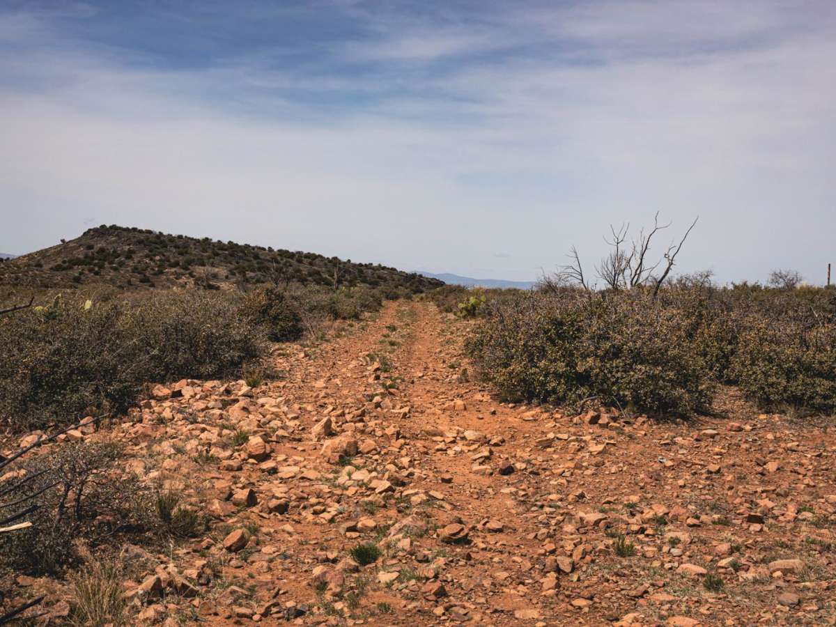 Long Gulch trail photo