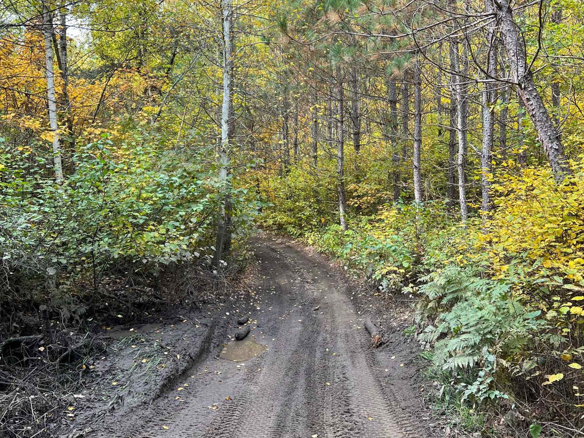 Paul Bunyan West River Rd Loop photo 6