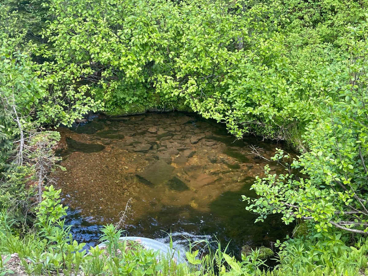 Stanley Creek photo 2