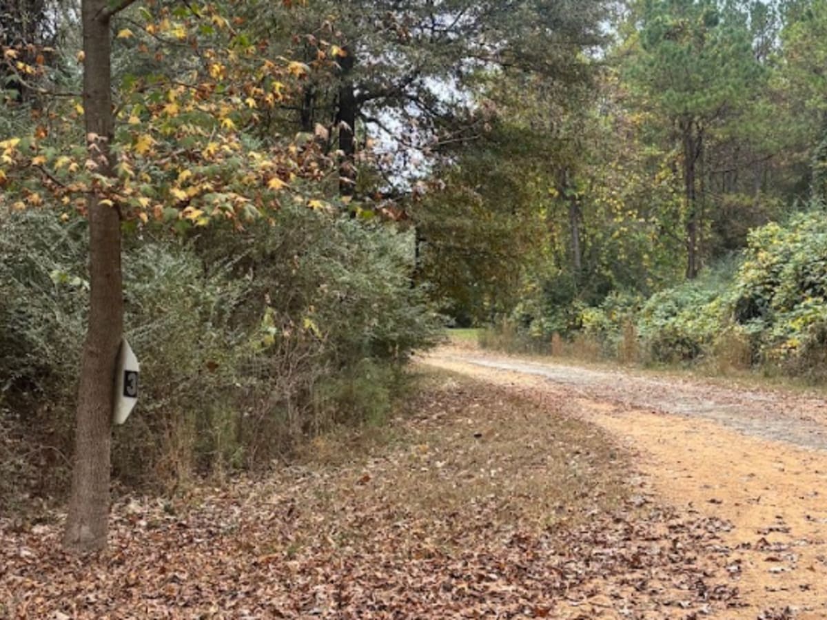 3 trail photo