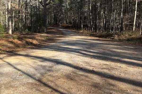 Cold Springs - FR 77