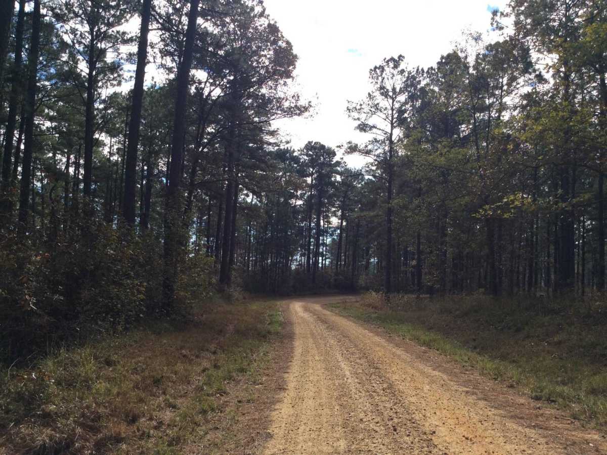 HCNF 102E Trail photo 2