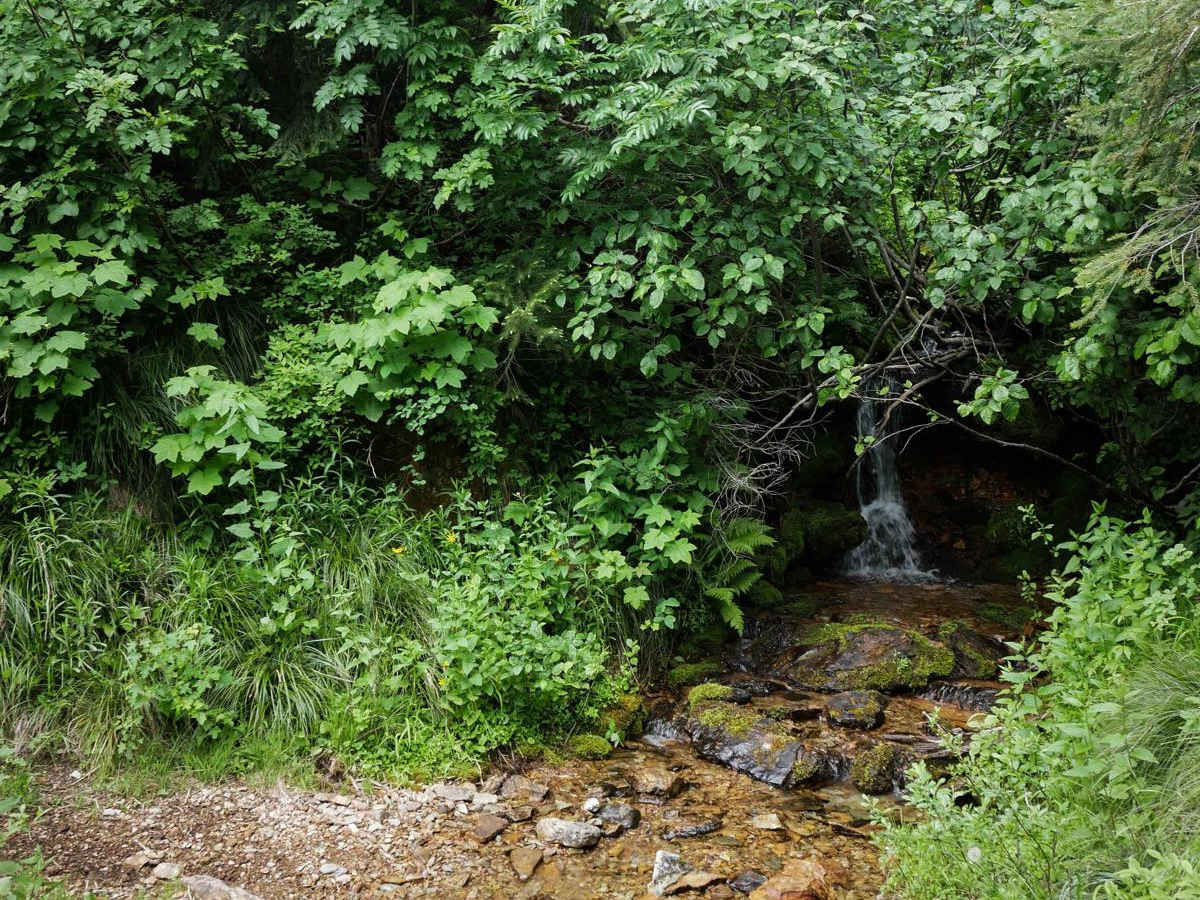 East Fork Big Creek photo 3