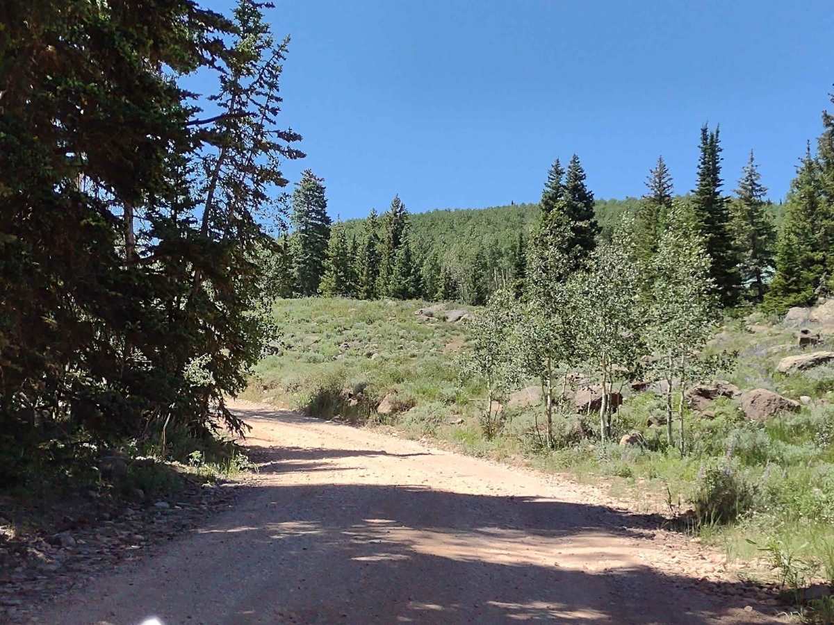Annabella Reservoir/Deep Lake - FS 40080 photo 3