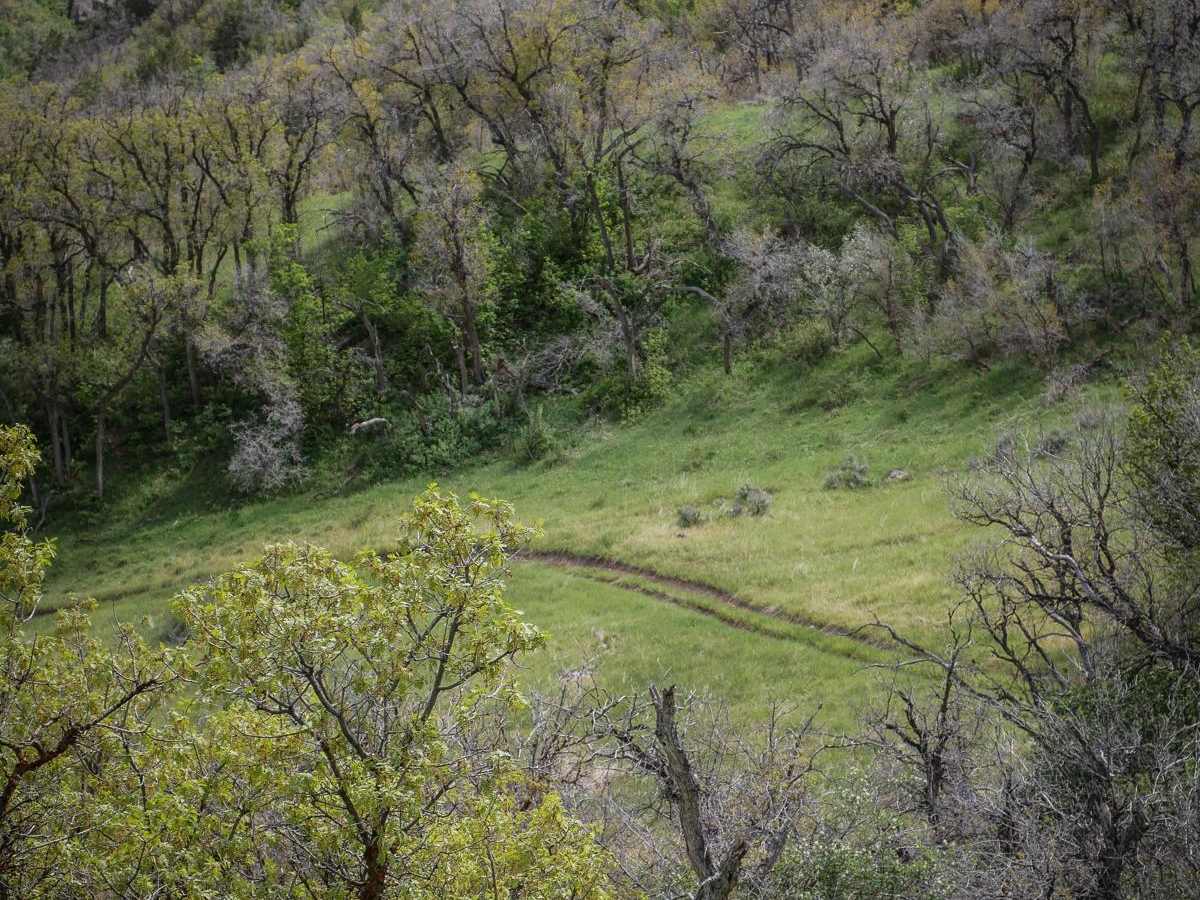 Long Hollow ATV photo 6