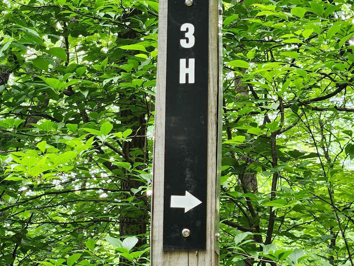 Trail 3H - Rock Run Recreation Area trail photo