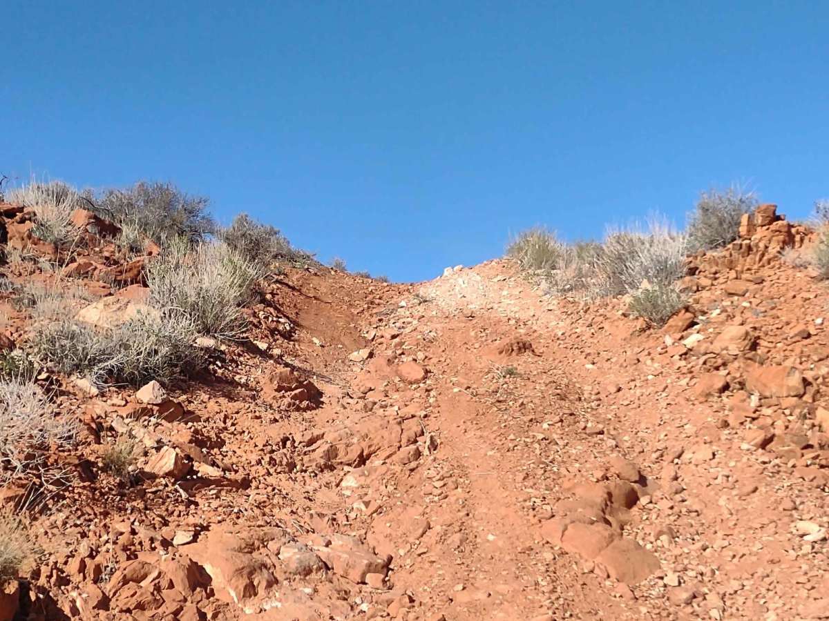 Dinosaur Tracks to East Rim photo 5