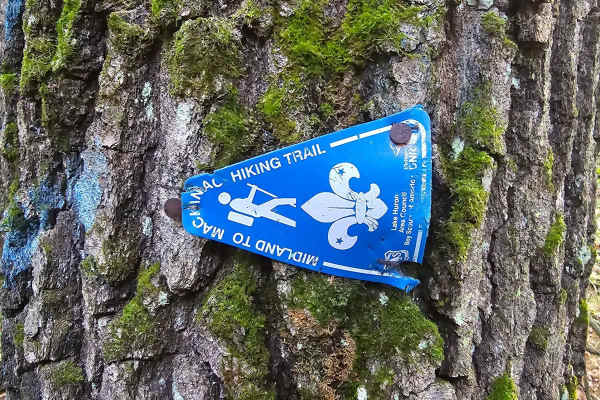 Camp Trail