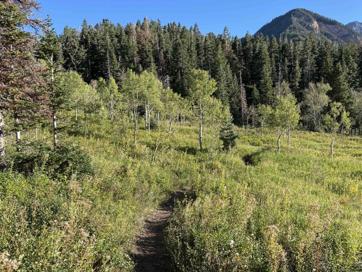 Ridge Connector (2216) photo 2