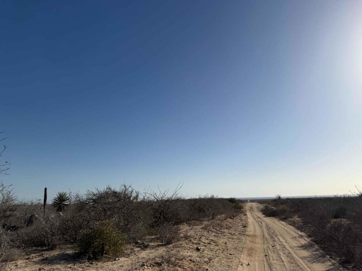 Camino De Auga Blanco photo 6