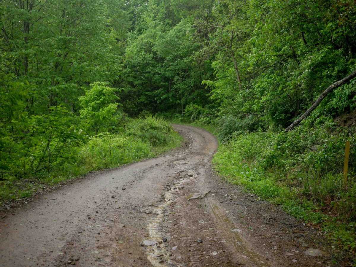 RH 11 photo 2