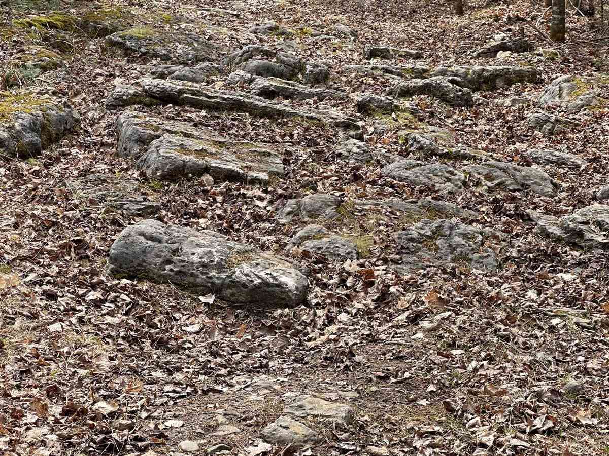 Moss Rock photo 6