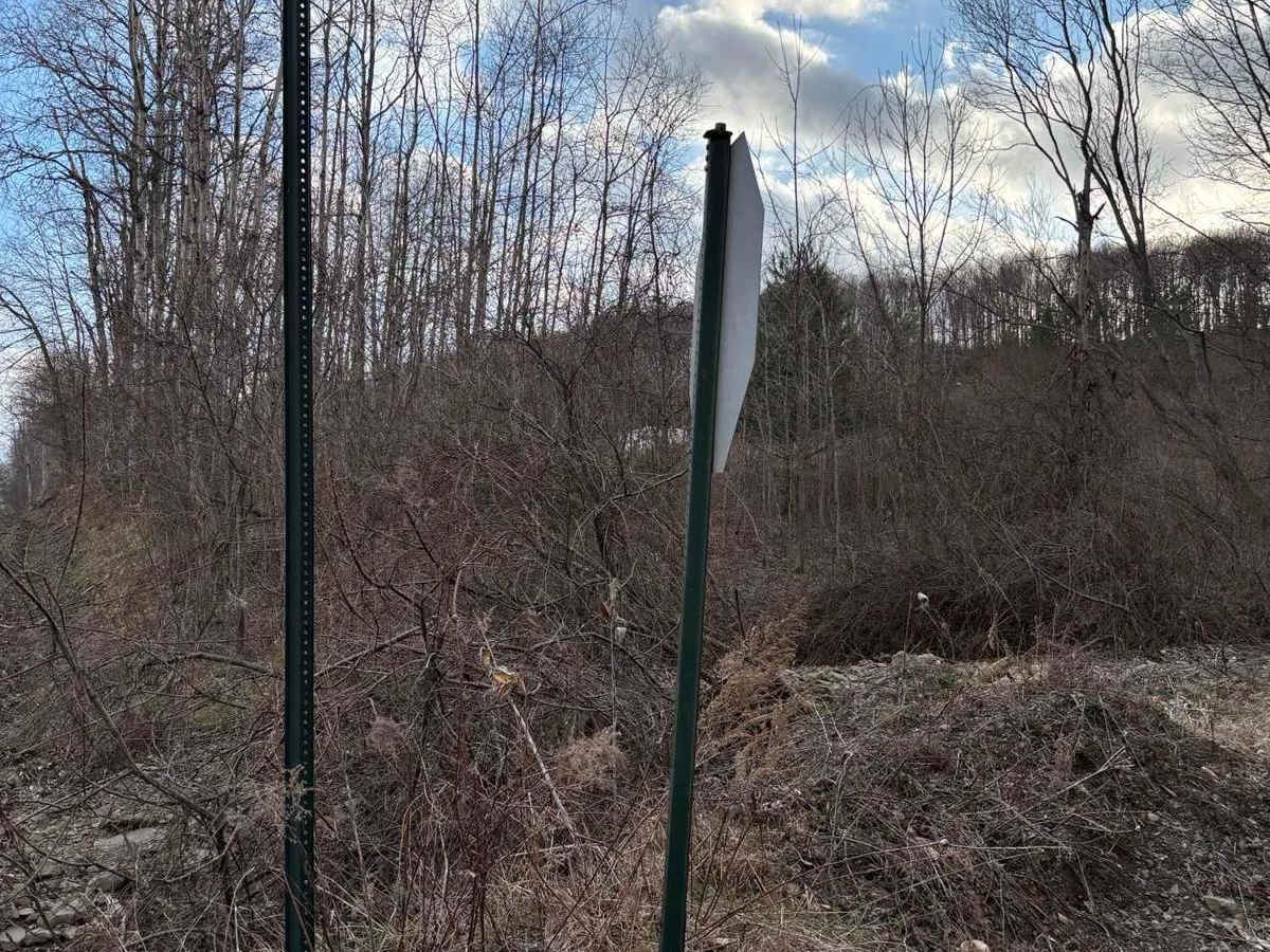 Welch Road trail photo