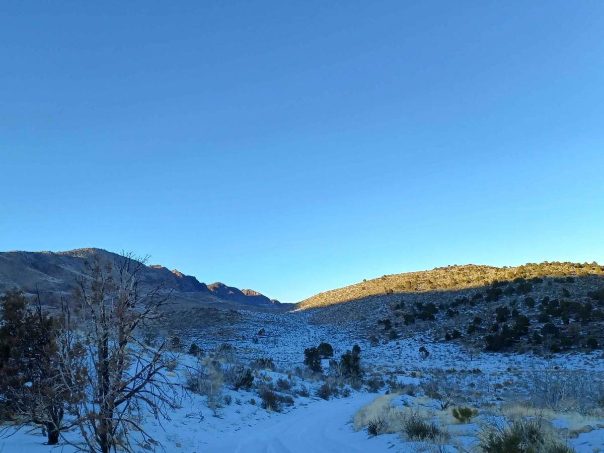 Twin Springs Road photo 4