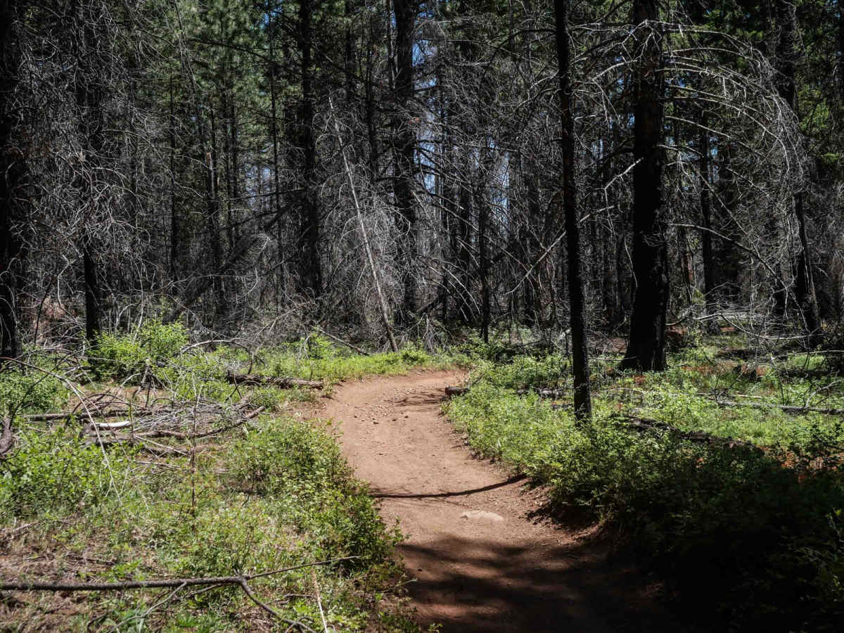576A trail photo
