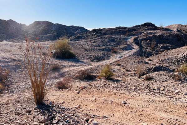 Mining Border Run
