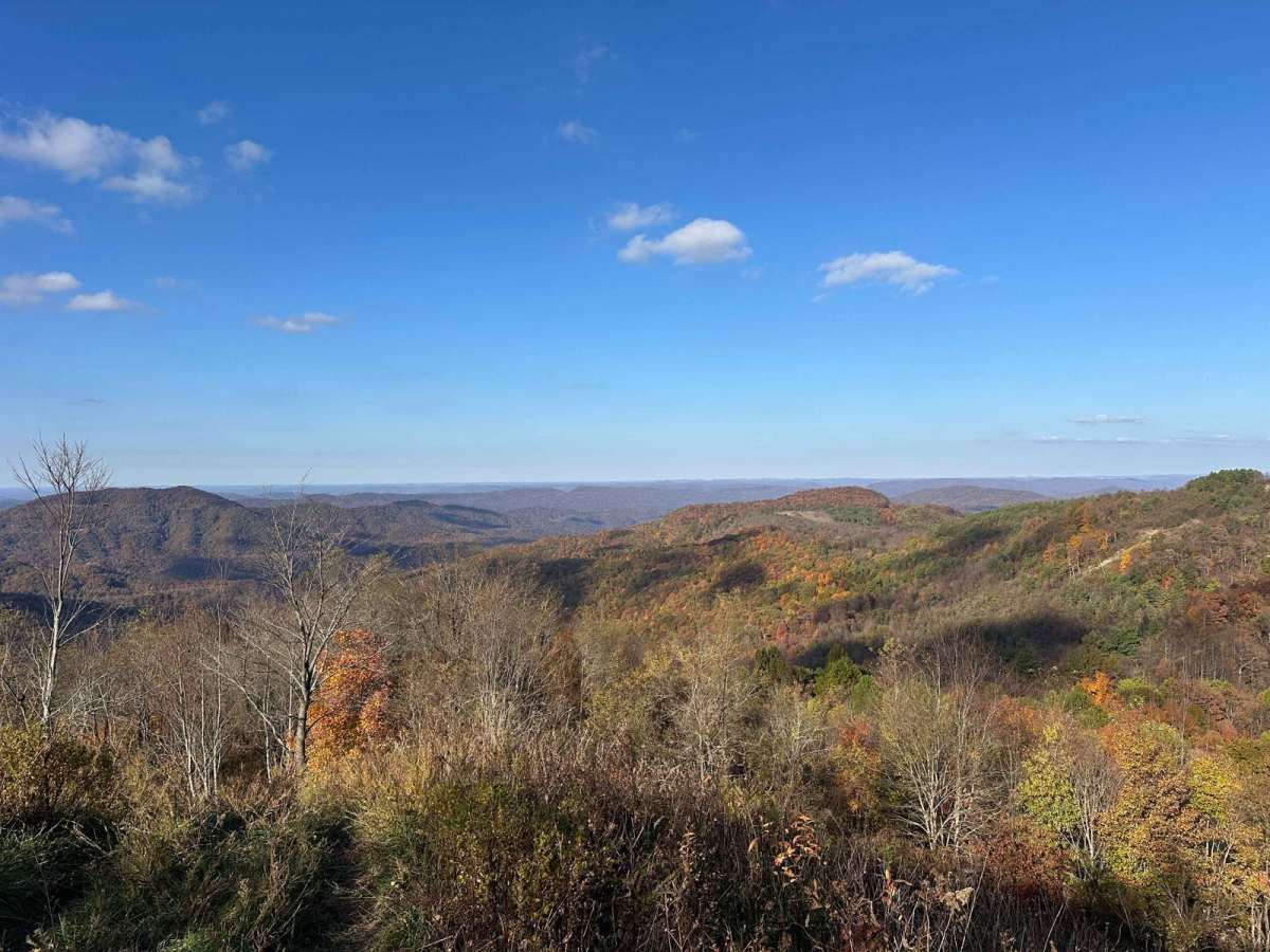 High Ridge Towers photo 5