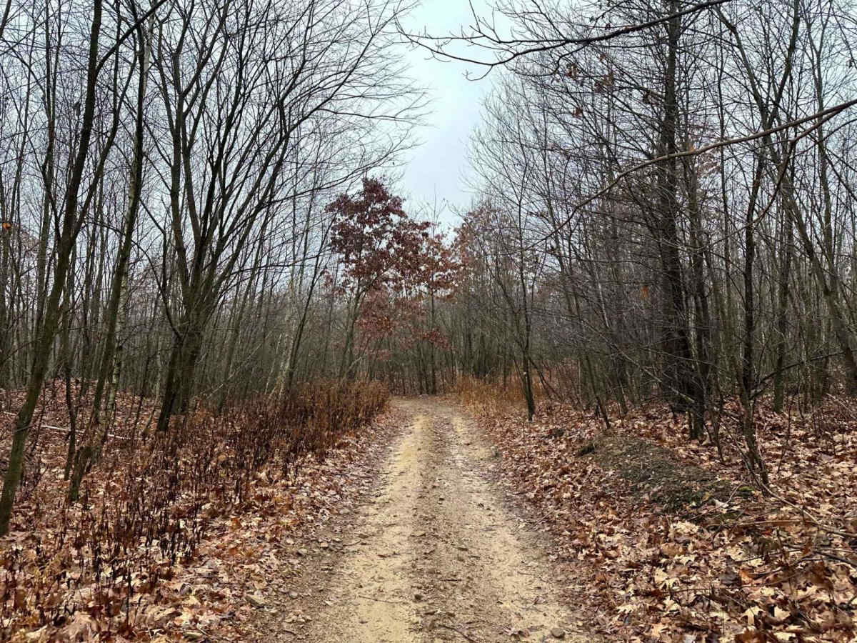 ATV Trail 27 photo 2