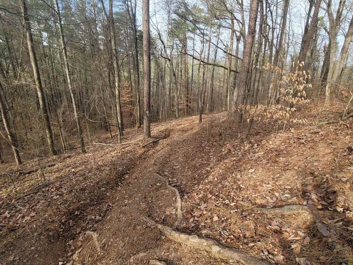 Scenic Overlook Bypass photo 6