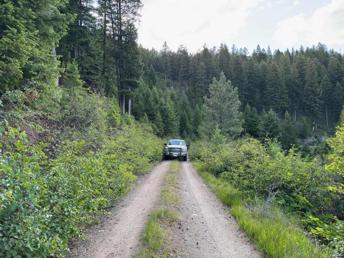 Crazy Creek trail photo
