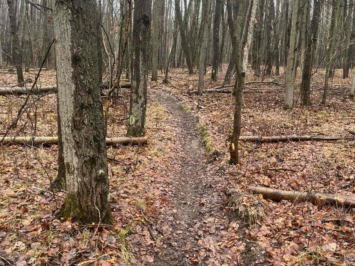 Horseshoe Motorcycle Trail Part 5 trail photo
