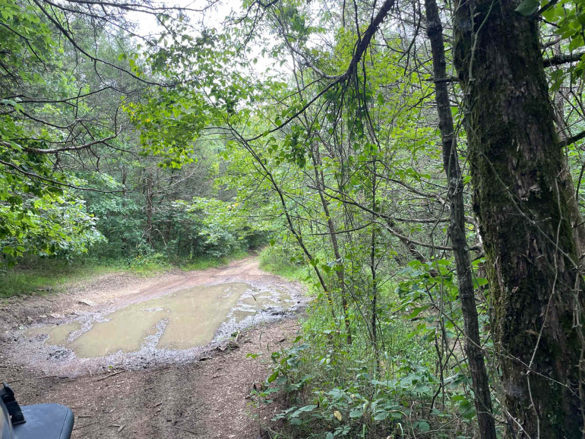 FR 1060 - Mary Cole Ridge photo 3