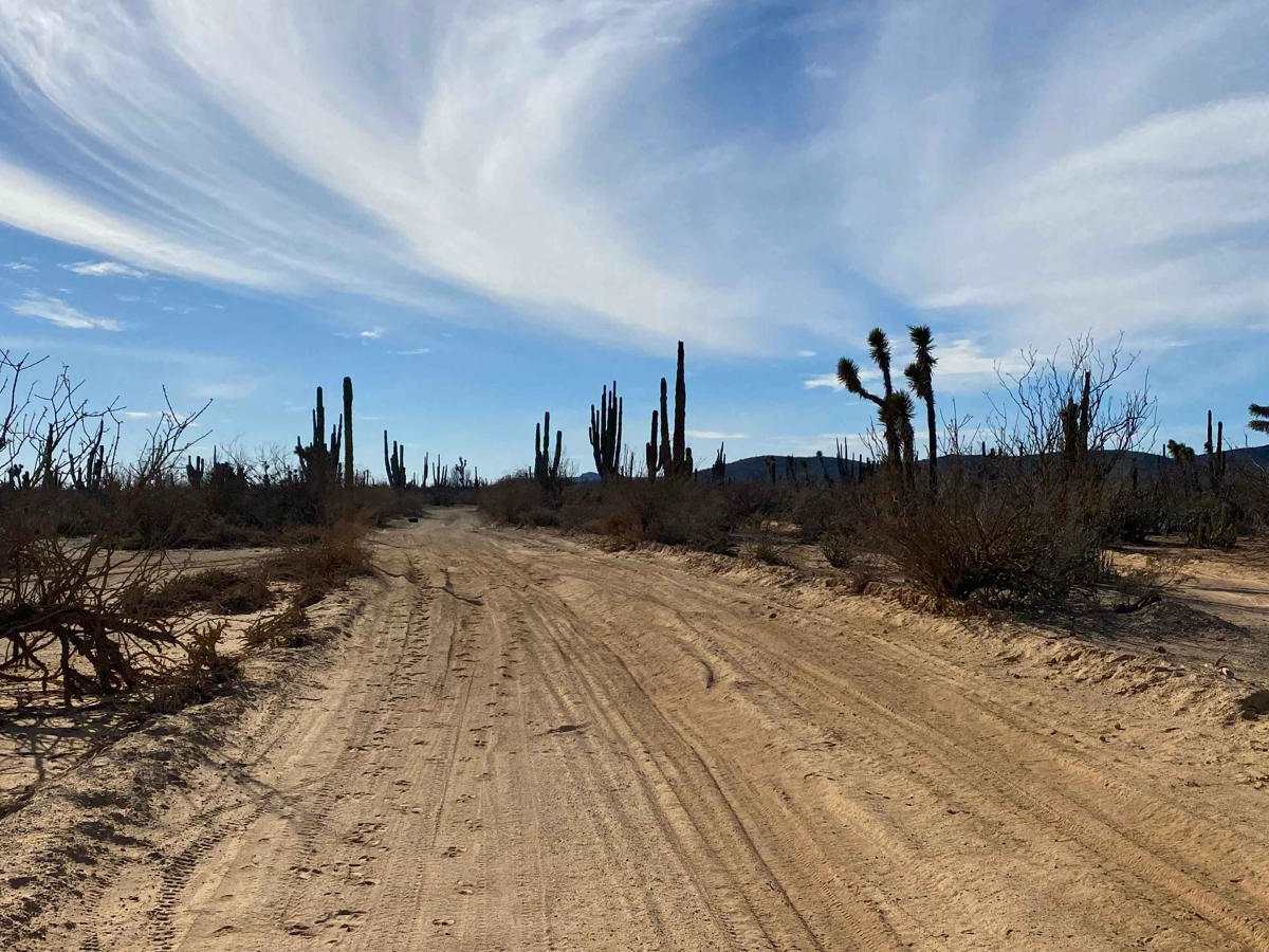 Santa Gertrudis trail photo