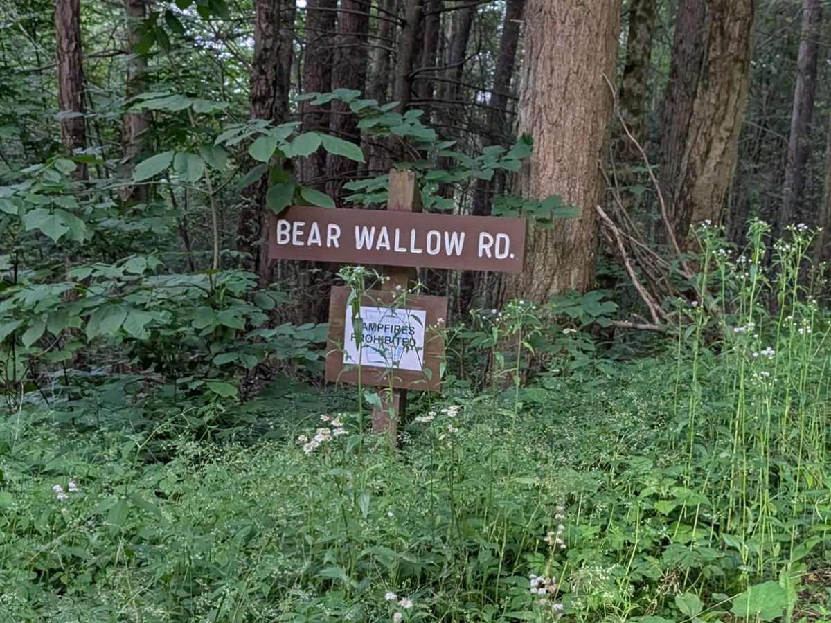 Bear Wallow Road trail photo