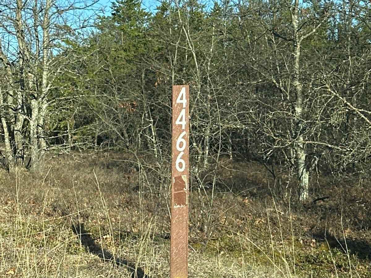 FS 4466 trail photo