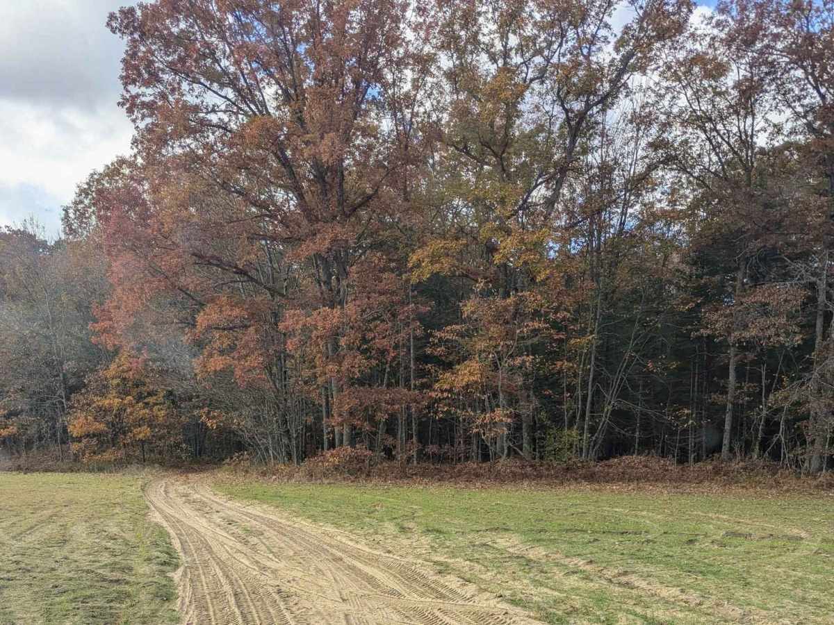 An Inside Trail at Tin Cup photo 4