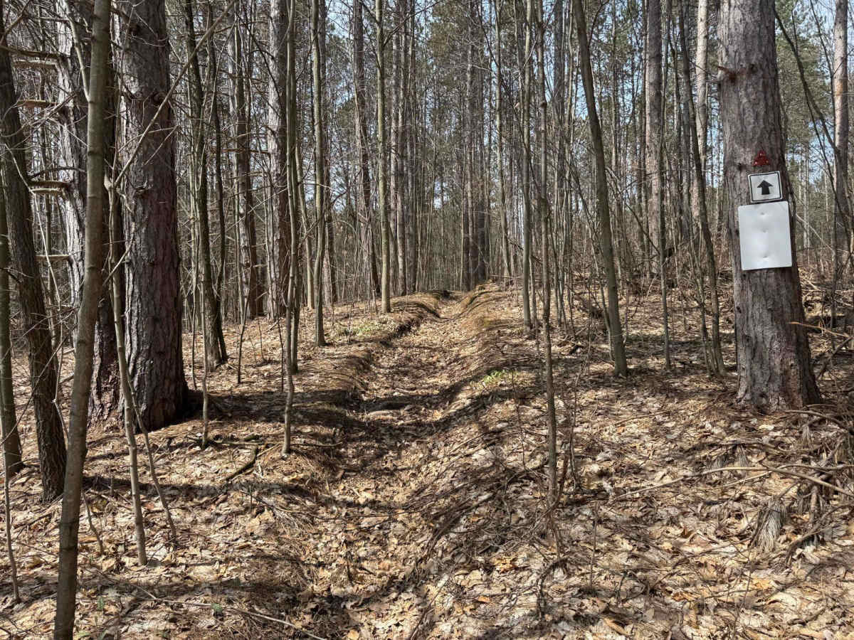 MCCCT - Caberfae Spur to West 38 photo 2