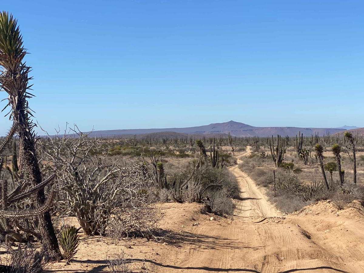 Four Corners East photo 3