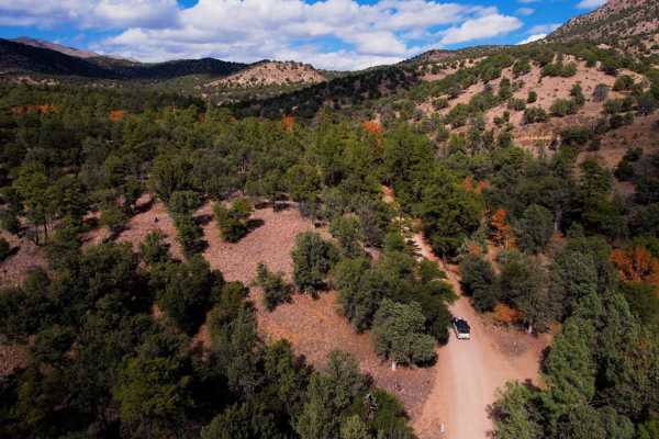 Chiricahua Byway